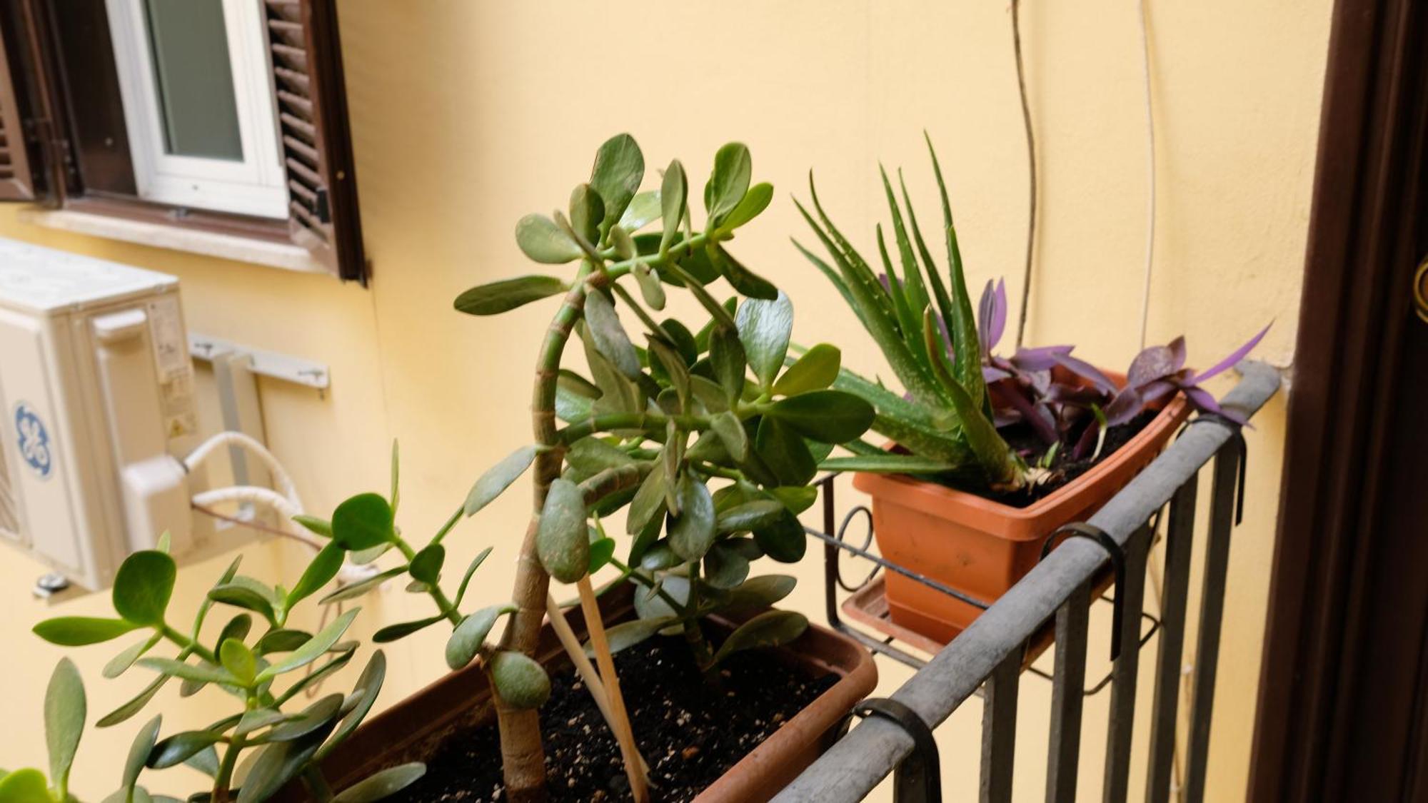 New, True-stevere Amazing Double Bed For 5 Pax * Roma